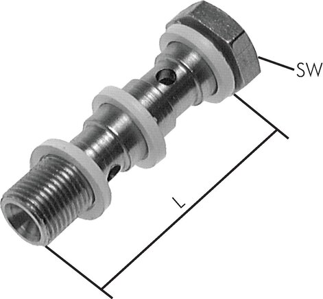 Exemplarische Darstellung: Edelstahl-Hohlschraube (2-fach)